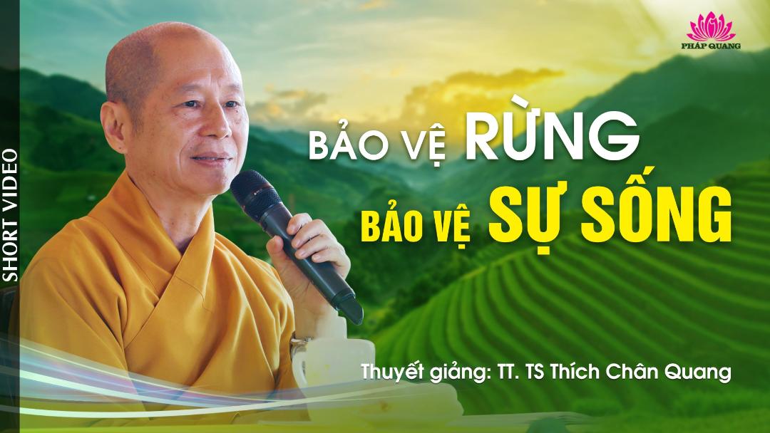 BẢO VỆ RỪNG, BẢO VỆ SỰ SỐNG - Trích bài Phước No Đủ TT.TS. Thích Chân Quang