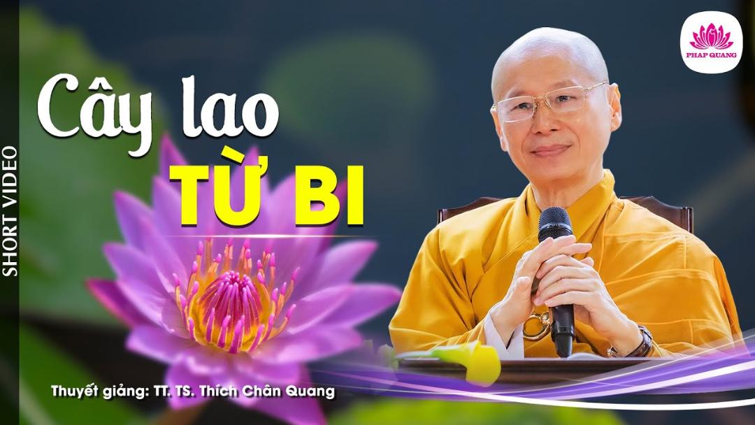 CÂY LAO TỪ BI