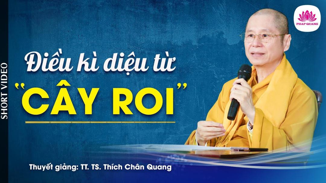 ĐIỀU KÌ DIỆU TỪ CÂY ROI
