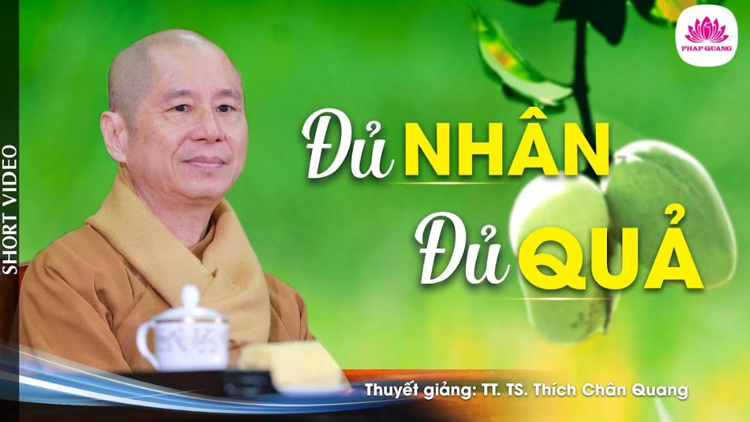 ĐỦ NHÂN ĐỦ QUẢ -  Trích bài Chỉ Là Một Ý Niem -