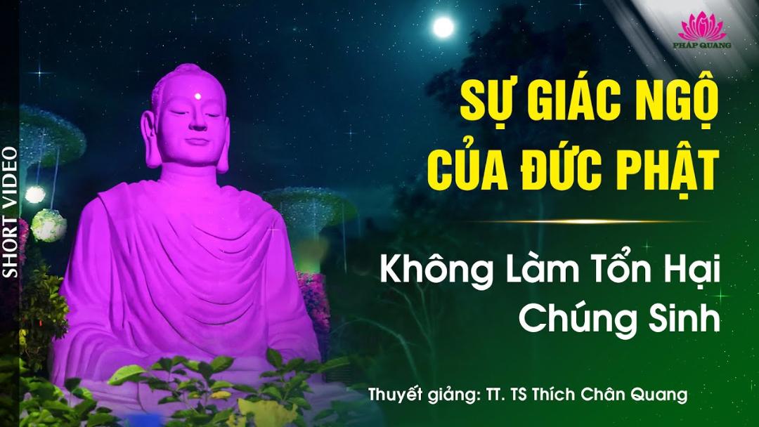 Không Làm Tổn Hại Chúng Sinh