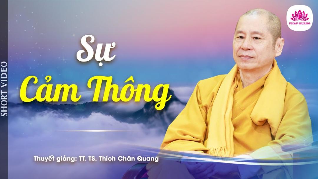 SỰ CẢM THÔNG - Trích bài Thiên Nga Bay Cao