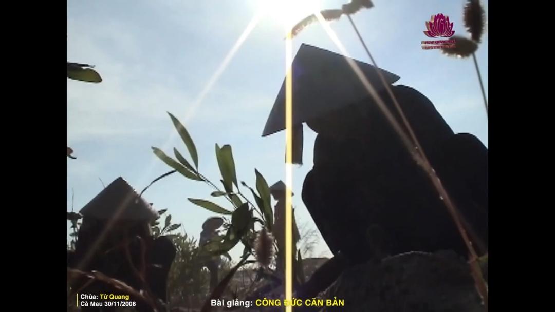 YÊU QUÝ TỪNG CHIẾC LÁ XANH