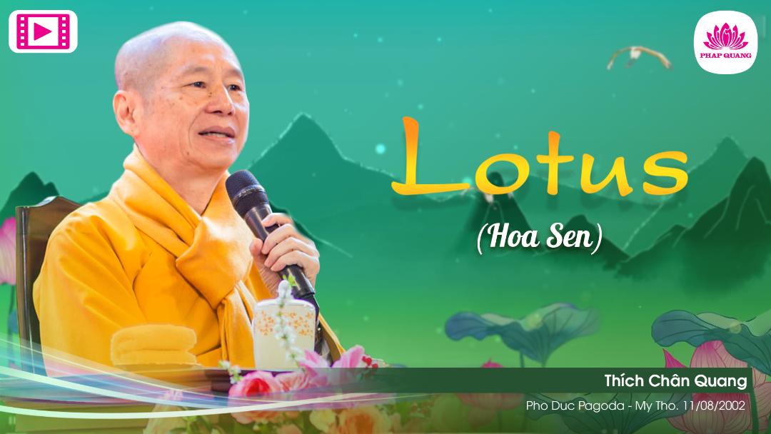Ý Nghĩa Hoa Sen A
