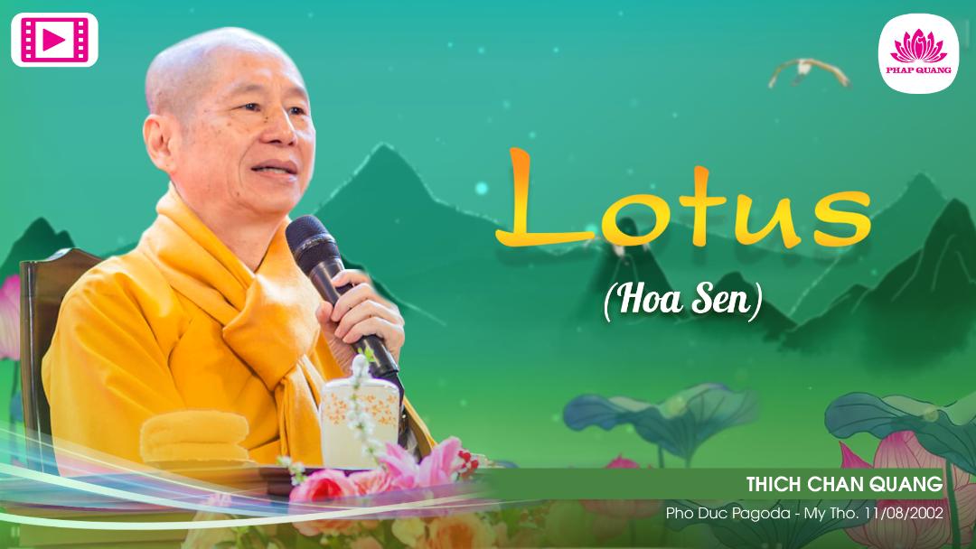 Ý Nghĩa Hoa Sen