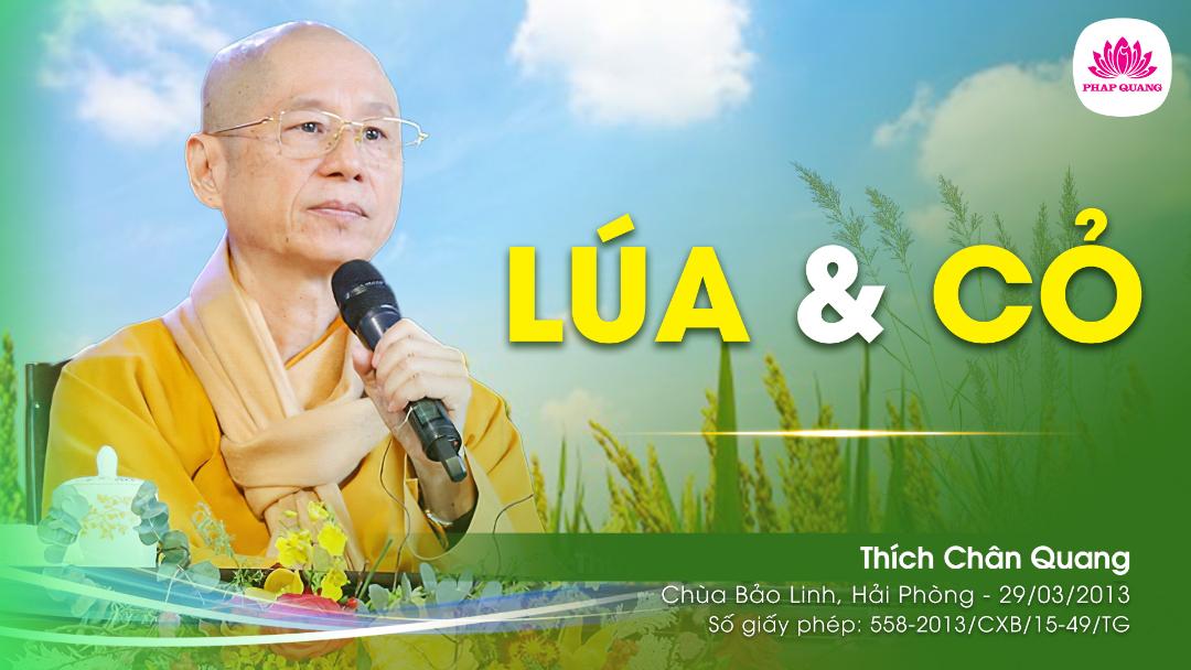 Lúa Và Cỏ