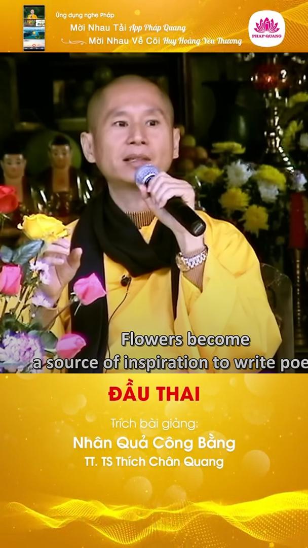 Đầu Thai