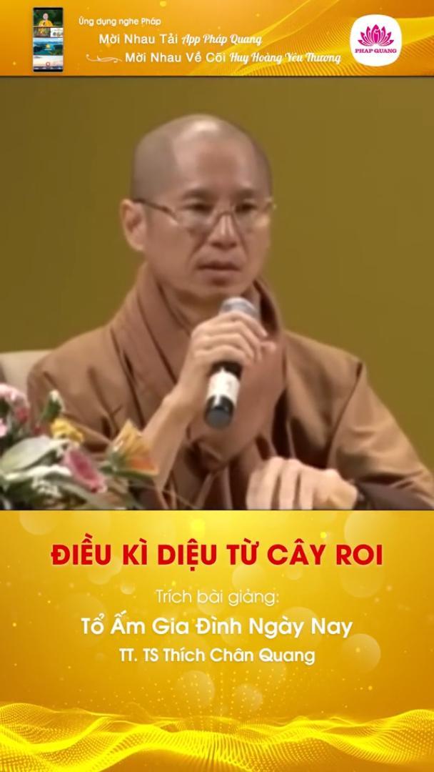 Điều Kì Diệu Từ Cây Roi