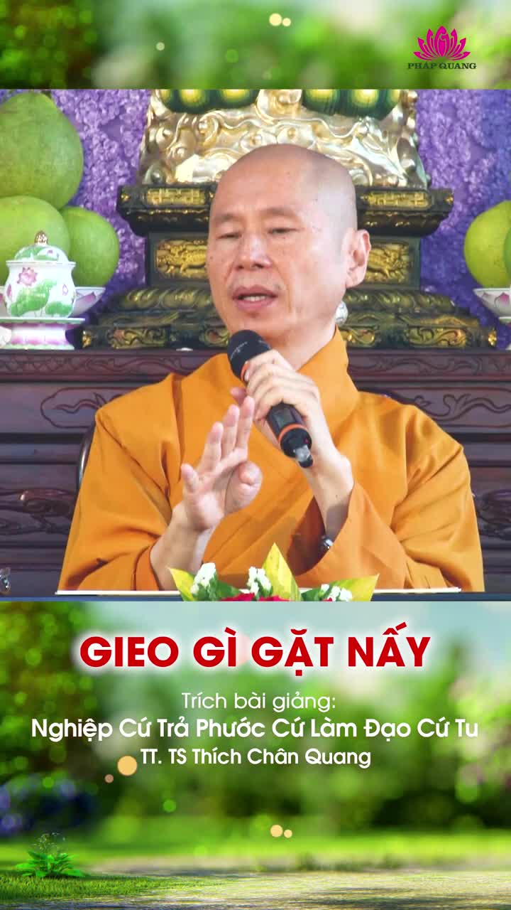 Gieo Gì Gặt Nấy