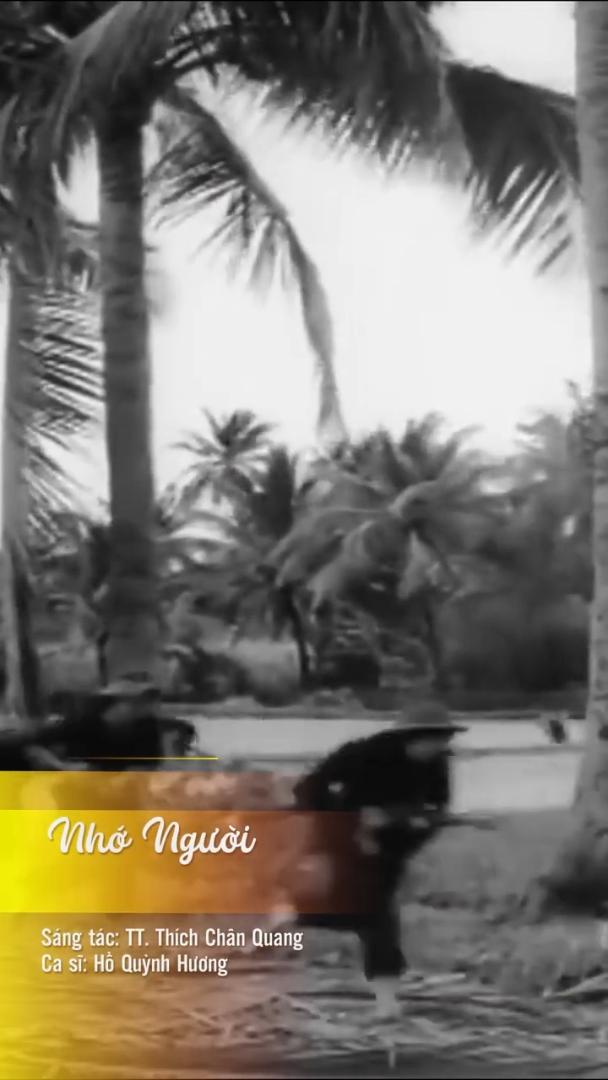 NHỚ NGƯỜI - Hồ Quỳnh Hương