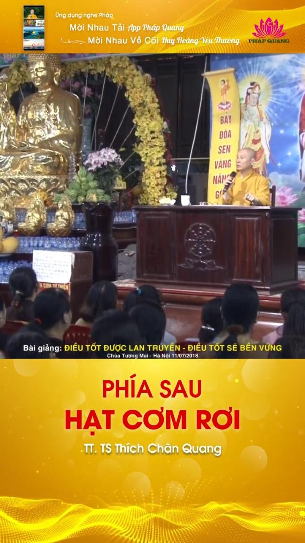 PHÍA SAU HẠT CƠM RƠI