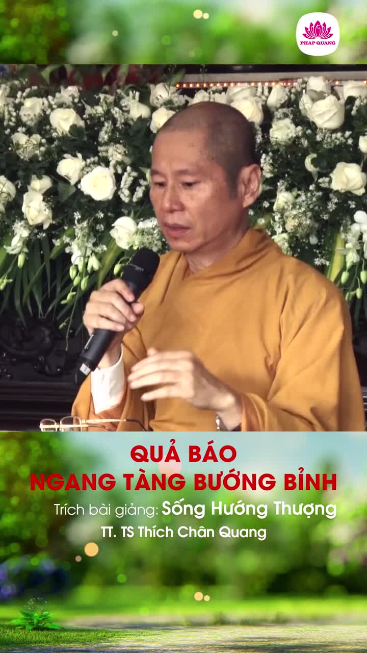 Quả Báo Ngang Tàng Bướng Bỉnh