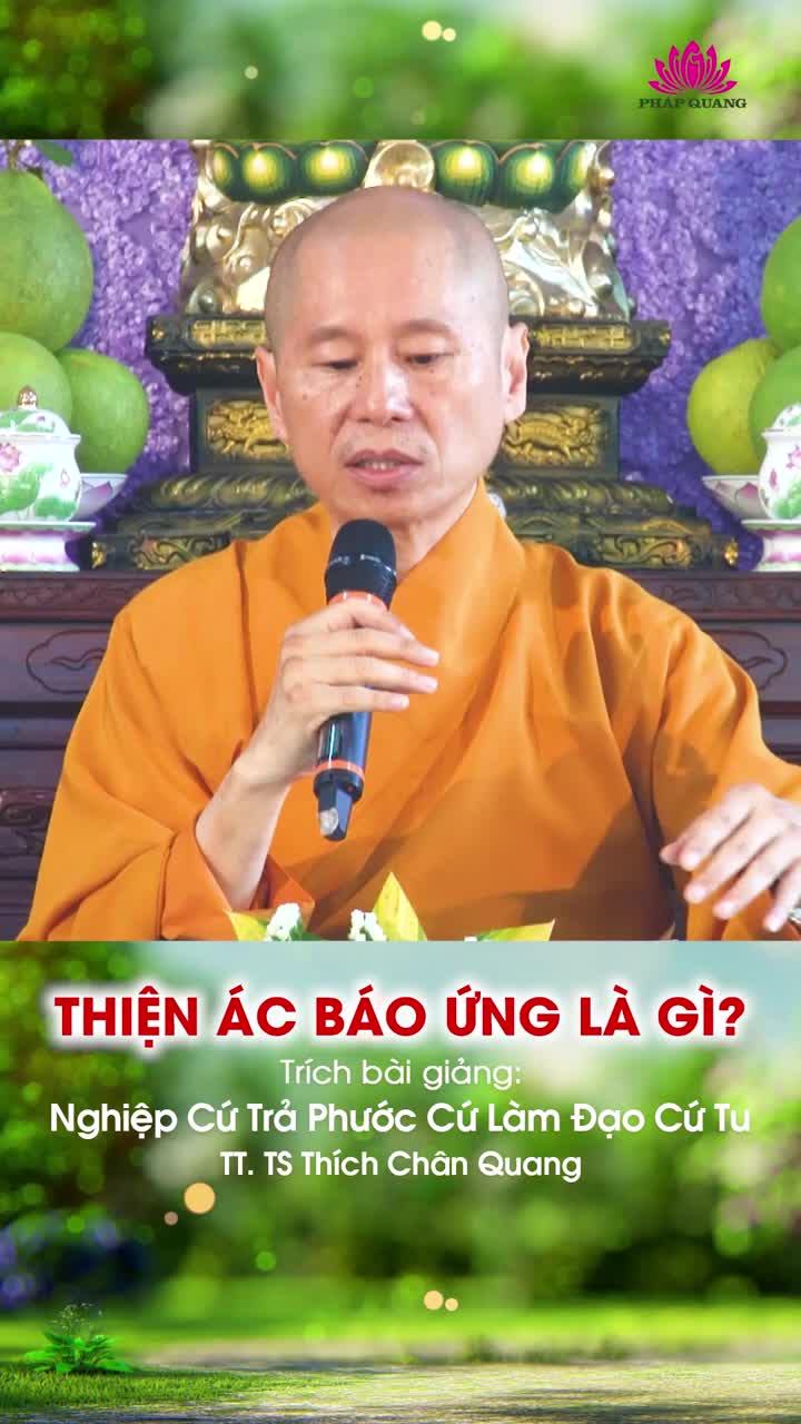 Thiện Ác Báo Ứng Là Gì