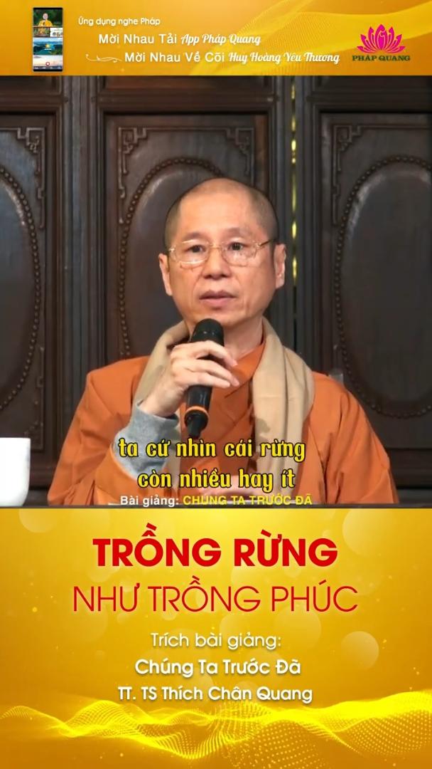 TRỒNG RỪNG NHƯ TRỒNG PHÚC