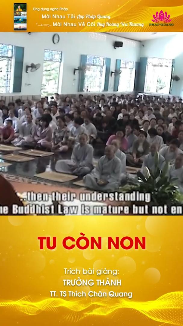 TU CÒN NON