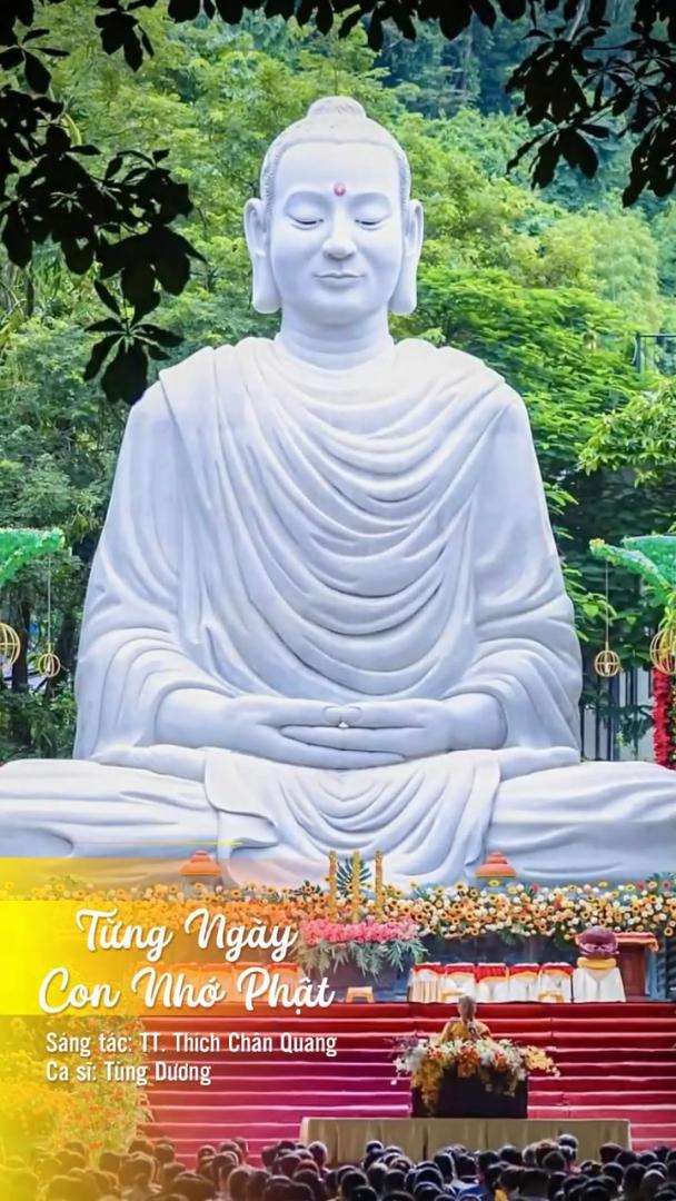 TỪNG NGÀY CON NHỚ PHẬT - Tùng Dương